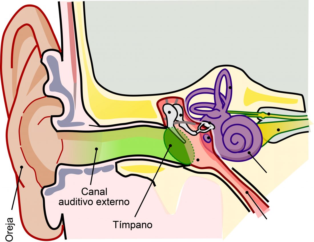 Patologías del Oído Externo